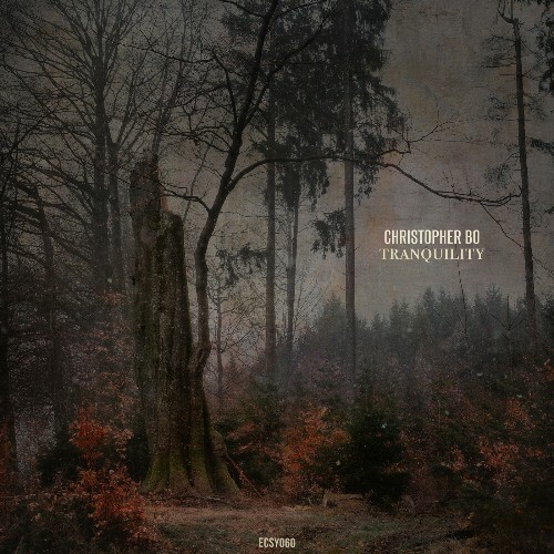  Christopher Bo - Tranquility (2024) 