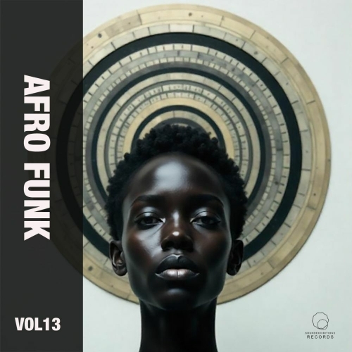  Afro Funk, Vol. 13 (2025) 