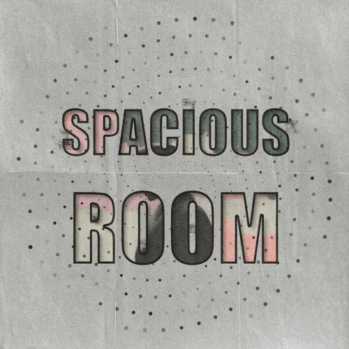  Spacious Room, Vol. 6 (2025) 