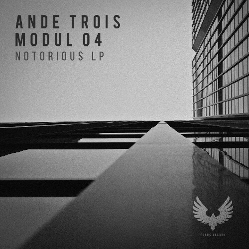  AnDe Trois x MODUL 04 - Notorious LP (2025) 