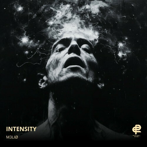 VA - M3LIØ - Intensity (2024) (MP3) MEVBNOW_o