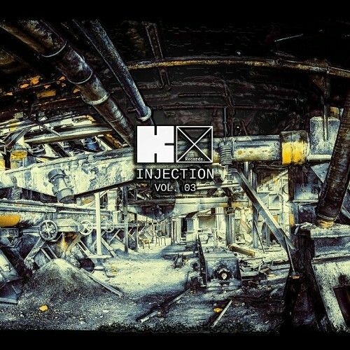 Injection Vol. 03 (2024) 