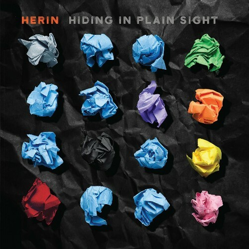 Hiding In Plain Sight (2024)