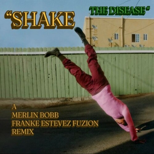  Merlin Bobb x Franke Estevez Fuzion - Shake The Disease (2026) 