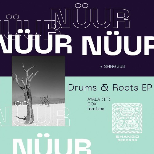  Nuur & DJ Weather - Drums & Roots (2024) 