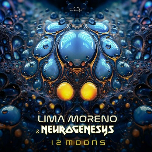 VA - Lima Moreno and Neurogenesys - 12 Moons (2024) (MP3) MEVDYQ0_o