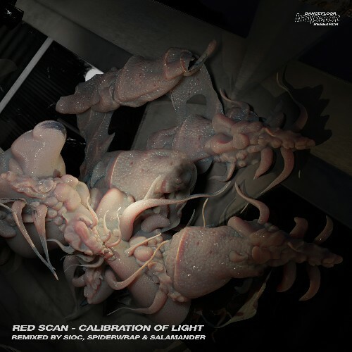  Red Scan - Calibration Of Light (2024) 