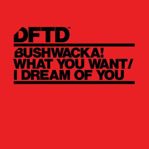 Bushwacka! - What You Want / I Dream Of You (2024)