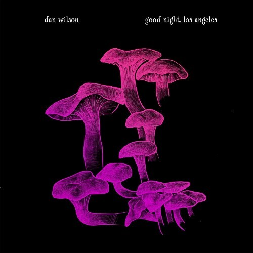  Dan Wilson - good night, los angeles (2025) 