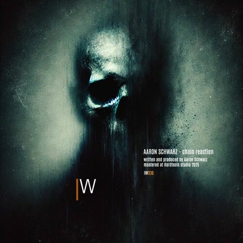  Aaron Schwarz - Chain reaction (2025) 