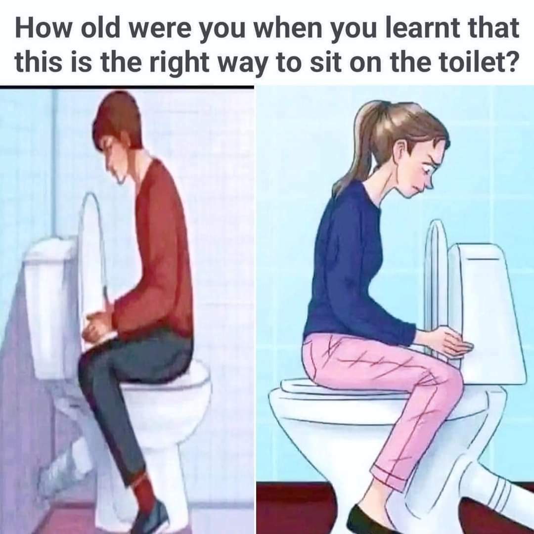 MEOV55B_o.jpg