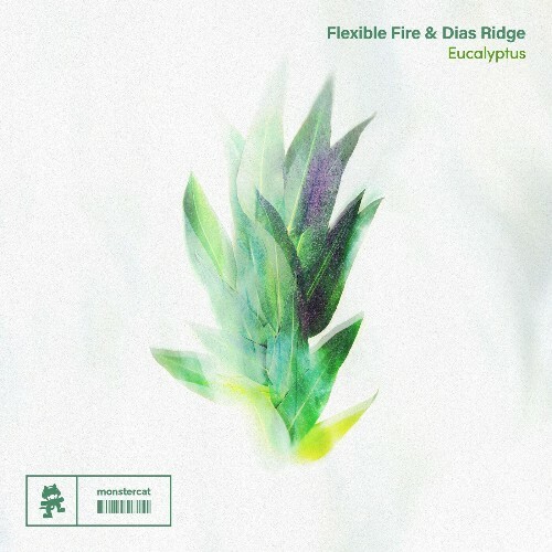  Dias Ridge - Eucalyptus (2025) 
