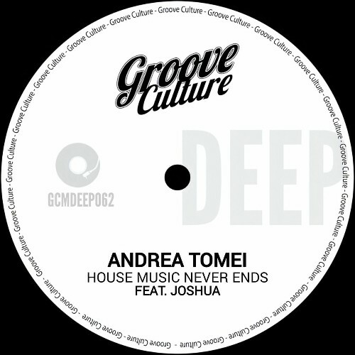  Andrea Tomei - House Music Never Ends (2025) 