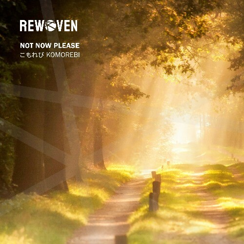 Not Now Please — Komorebi (2026)