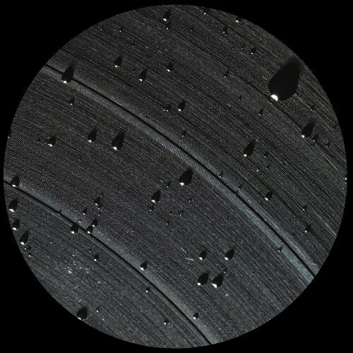  Jonas Kopp - Black System (2025) 