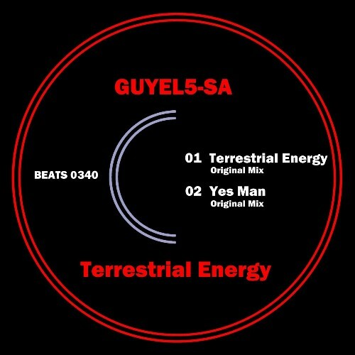  Guyel5-Sa - Terrestrial Energy (2025) 