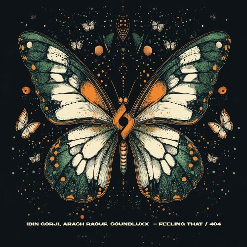  Idin Gorji & Soundluxx - Feeling That / 404 (2025) 