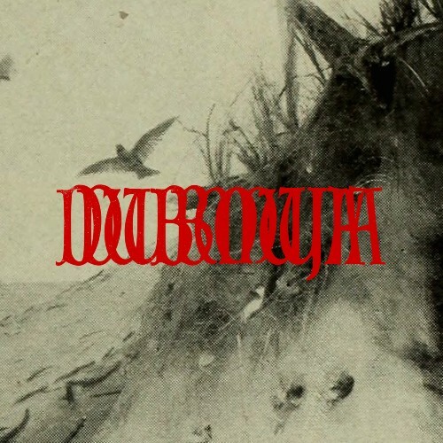  Demuja - Dubmuja 002 (2026) 