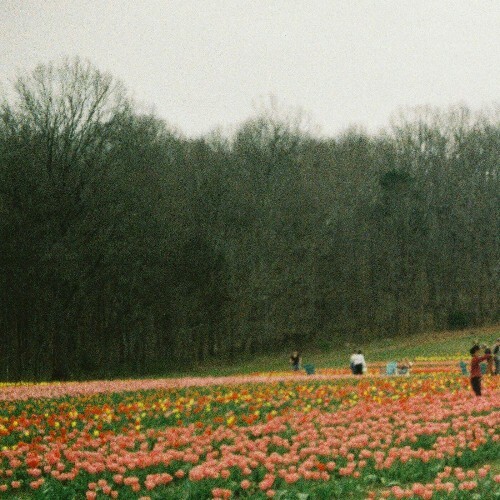  Other Nothing - Lr (2025) 