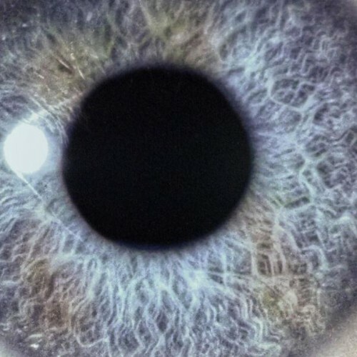  Dan Swanoe - Moontower (2026) 