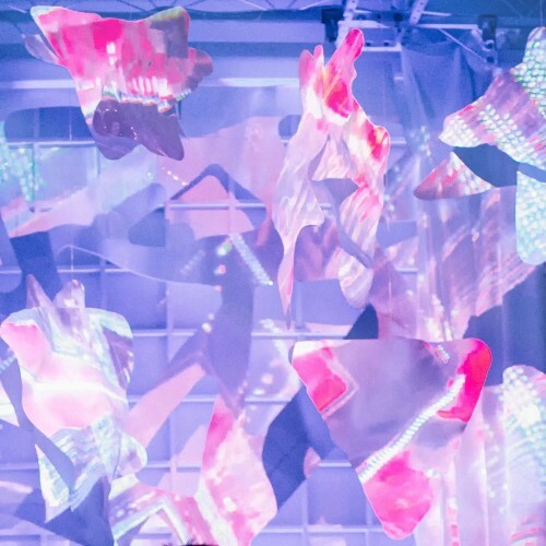  Lomandeep - Selecta (2025) 