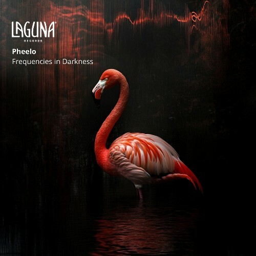 Pheelo - Frequencies in Darkness (2025) Pheelo - Frequencies in Darkness (2025)