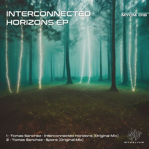  Tomas Sanchez - Interconnected Horizons (2024) 