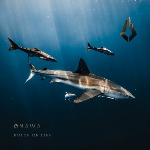  Ønawa - Pulse of Life (2024) 