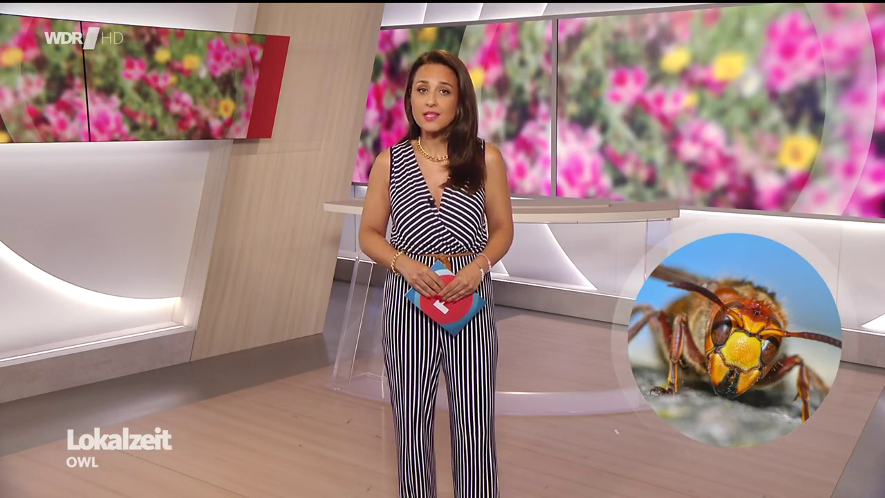 Nina Moghaddam - °WDR Lokalzeit OWL° 12.08.2024 - 135X Caps_25.png