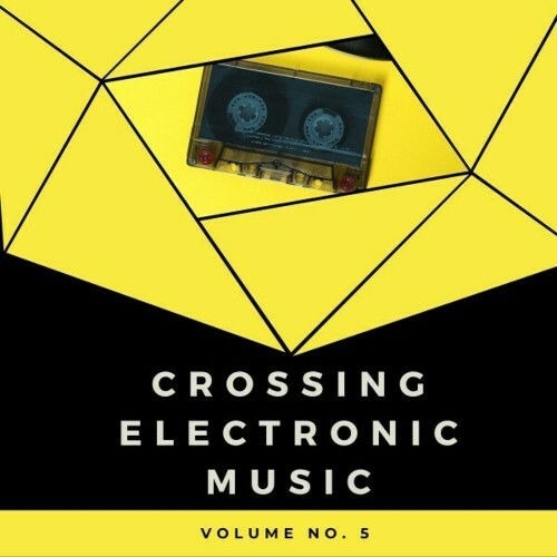  Crossing Electronic Music, Vol. 5 (2024) 