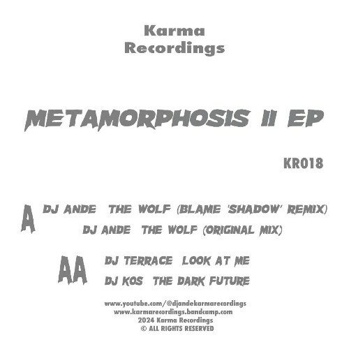 MP3:  DJ Ande x DJ Kos x DJ Terrace - Metamorphosis II (2024) Онлайн