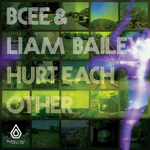 BCee & Liam Bailey - Hurt Each Other (2024)