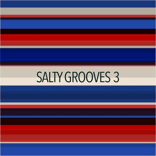  Salty Grooves 3 (2024) 
