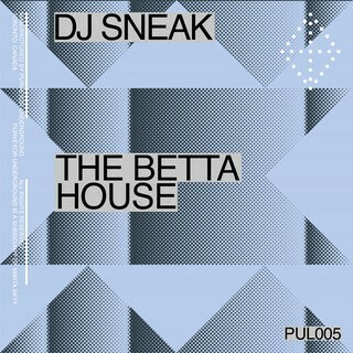  DJ Sneak - The Betta House (2025) 