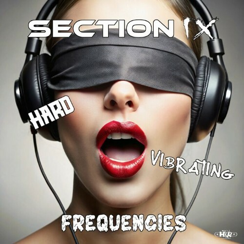  Section IX - Hard Vibrating Frequencies (2025) 