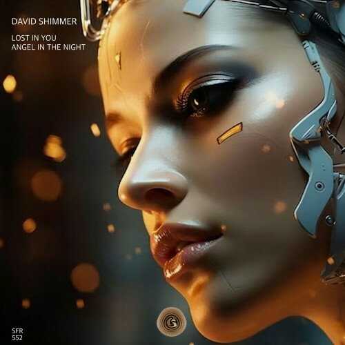  David Shimmer - Lost in You (2024) 