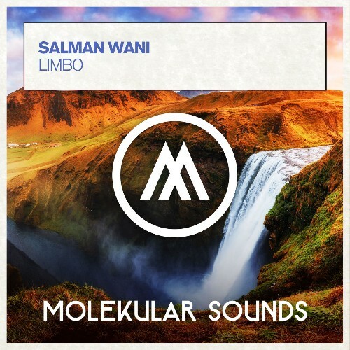  Salman Wani - Limbo (2026) 