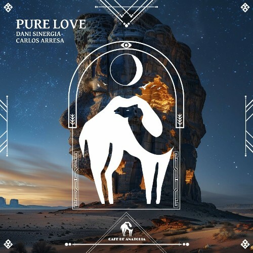  Dani Sinergia, Carlos Arresa - Pure Love (2024) 