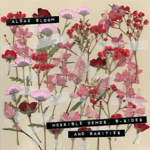  Algae Bloom - horrible demos, b-sides and rarities (2026) 