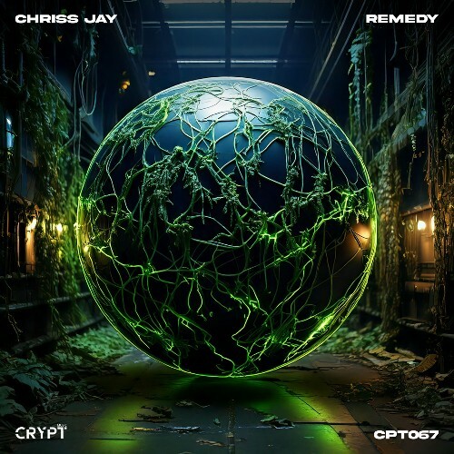  Chriss Jay - Remedy (2026) 