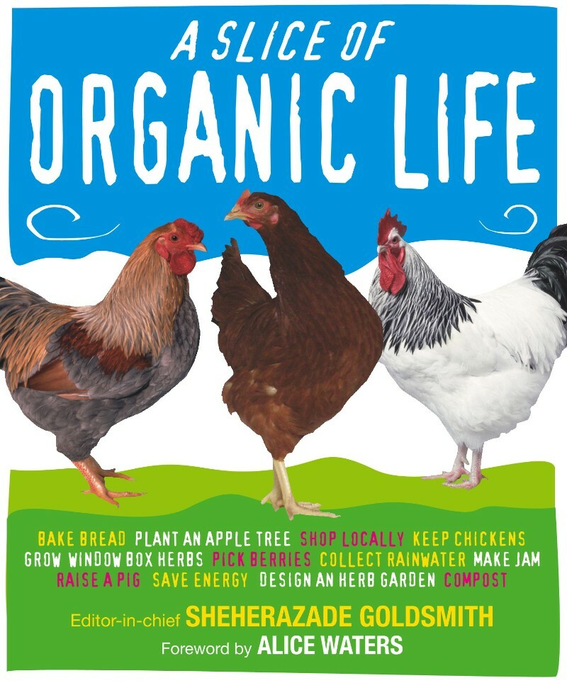 [Kép: ME196RI9_o.jpg]