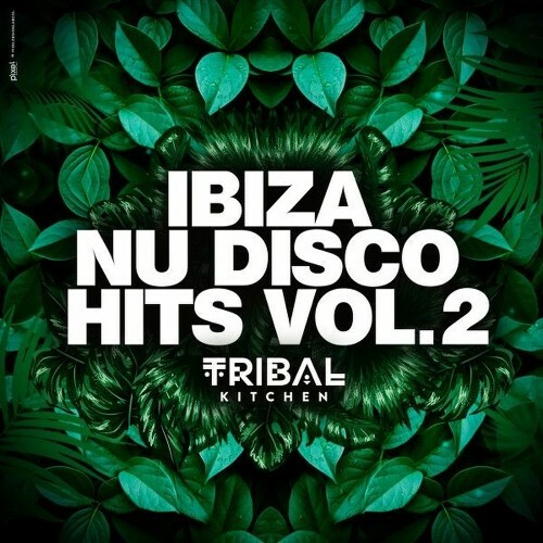  Ibiza Nu Disco Hits Vol. 2 (Tribal Kitchen) (2025) 