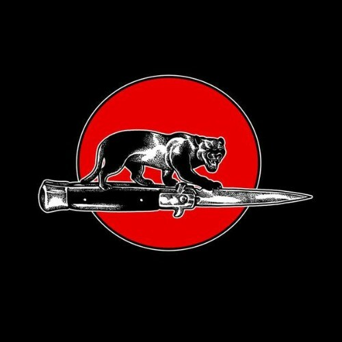  Jim Jones All Stars - CAT FIGHT (2026) 