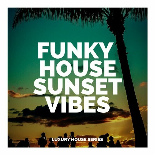  Funky House Sunset Vibes (2023) 