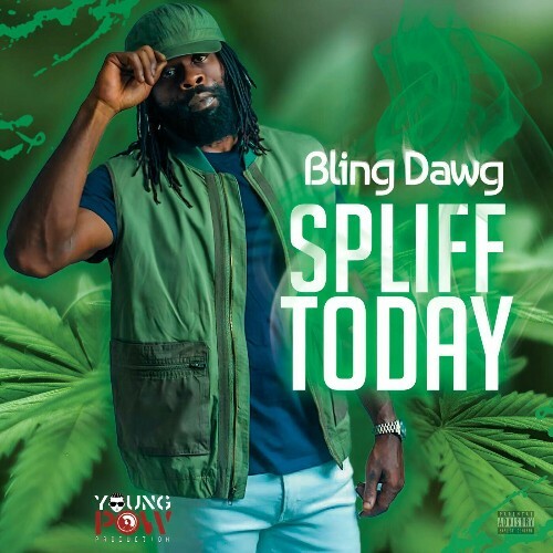 Bling Dawg - Spliff Today (2024)