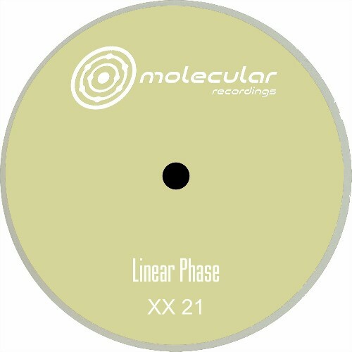  Linear Phase - XX 21 (2024) 