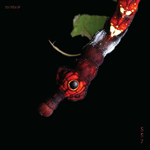  Guadalupe Gonzalez - Balance (2025) 