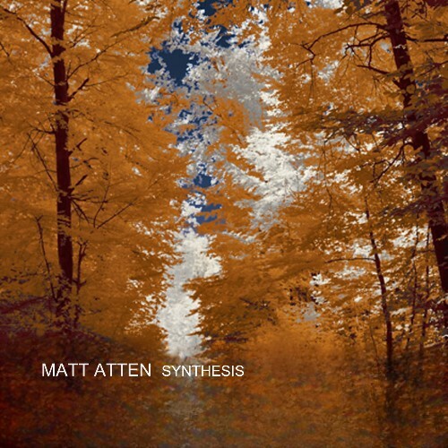 Matt Atten — Synthesis (2026)
