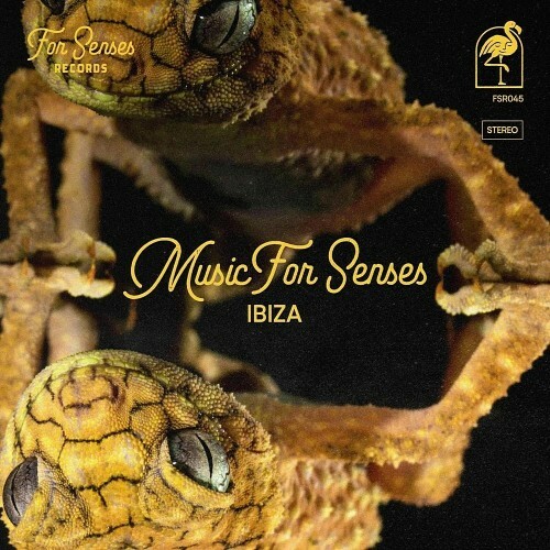  Music for Senses - IBIZA 2024 (2024) 