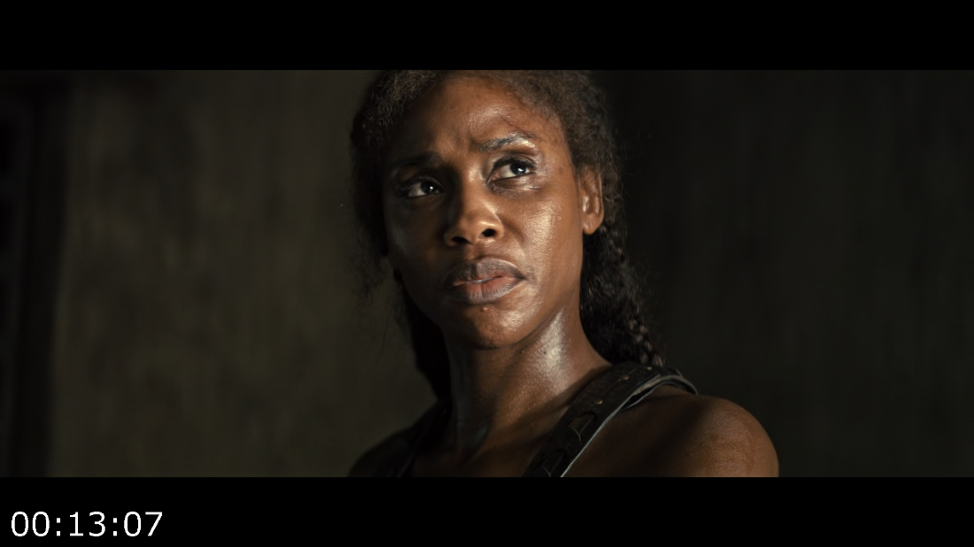 [Image: ME1952B0_o.png]